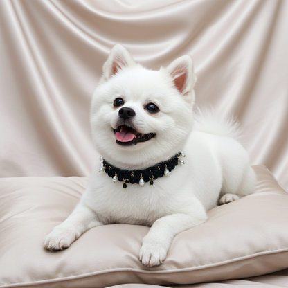 Le Collier Coco
