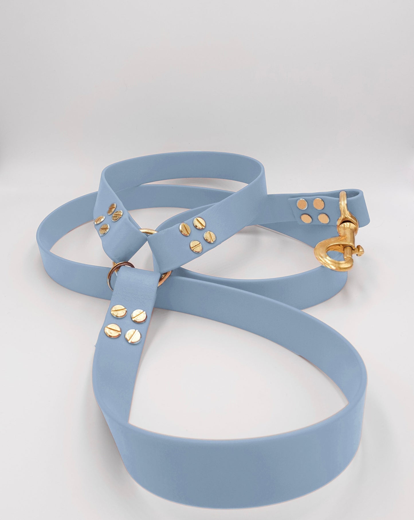 dog leash in biothane. Waterproof leash, vegan leather laisse pour chien handmade in France