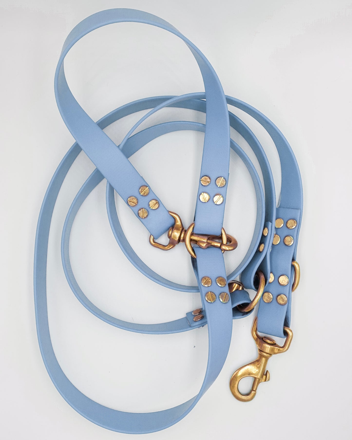 dog leash in biothane. Waterproof hands-free leash, vegan leather laisse pour chien handmade in France