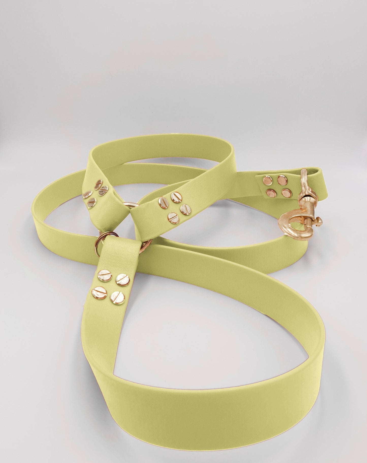 dog leash in biothane. Waterproof leash, vegan leather laisse pour chien handmade in France