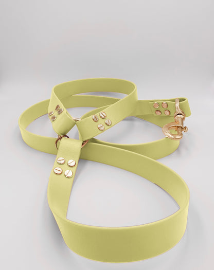 dog leash in biothane. Waterproof leash, vegan leather laisse pour chien handmade in France