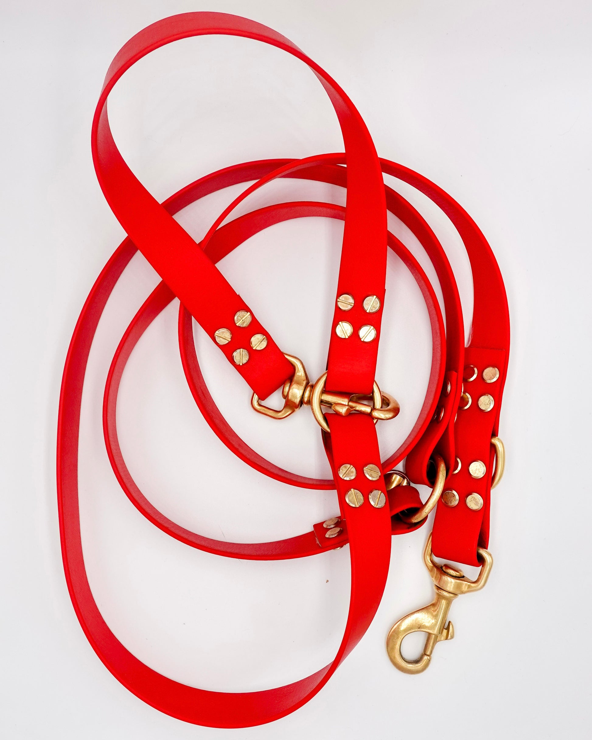 dog leash in biothane. Waterproof hands-free leash, vegan leather laisse pour chien handmade in France