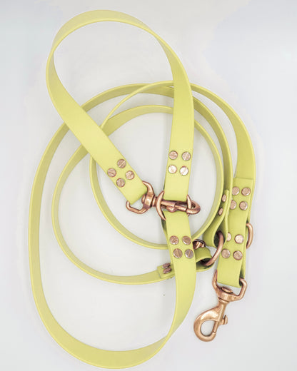 dog leash in biothane. Waterproof hands-free leash, vegan leather laisse pour chien handmade in France