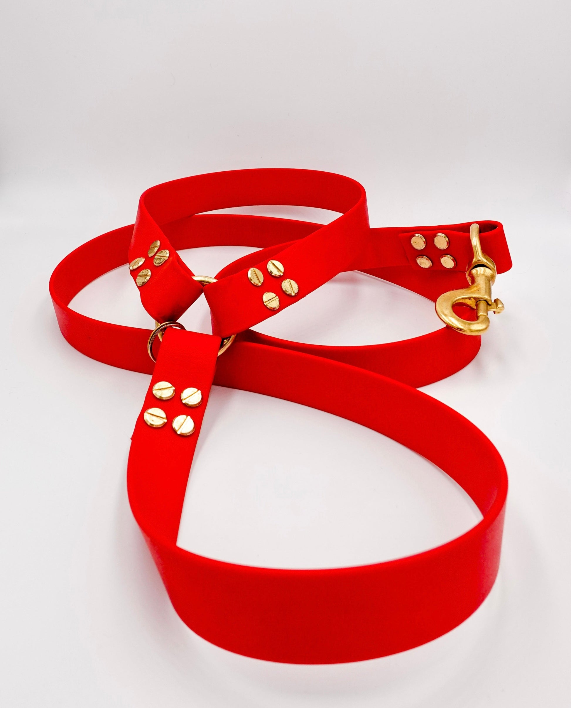 dog leash in biothane. Waterproof leash, vegan leather laisse pour chien handmade in France