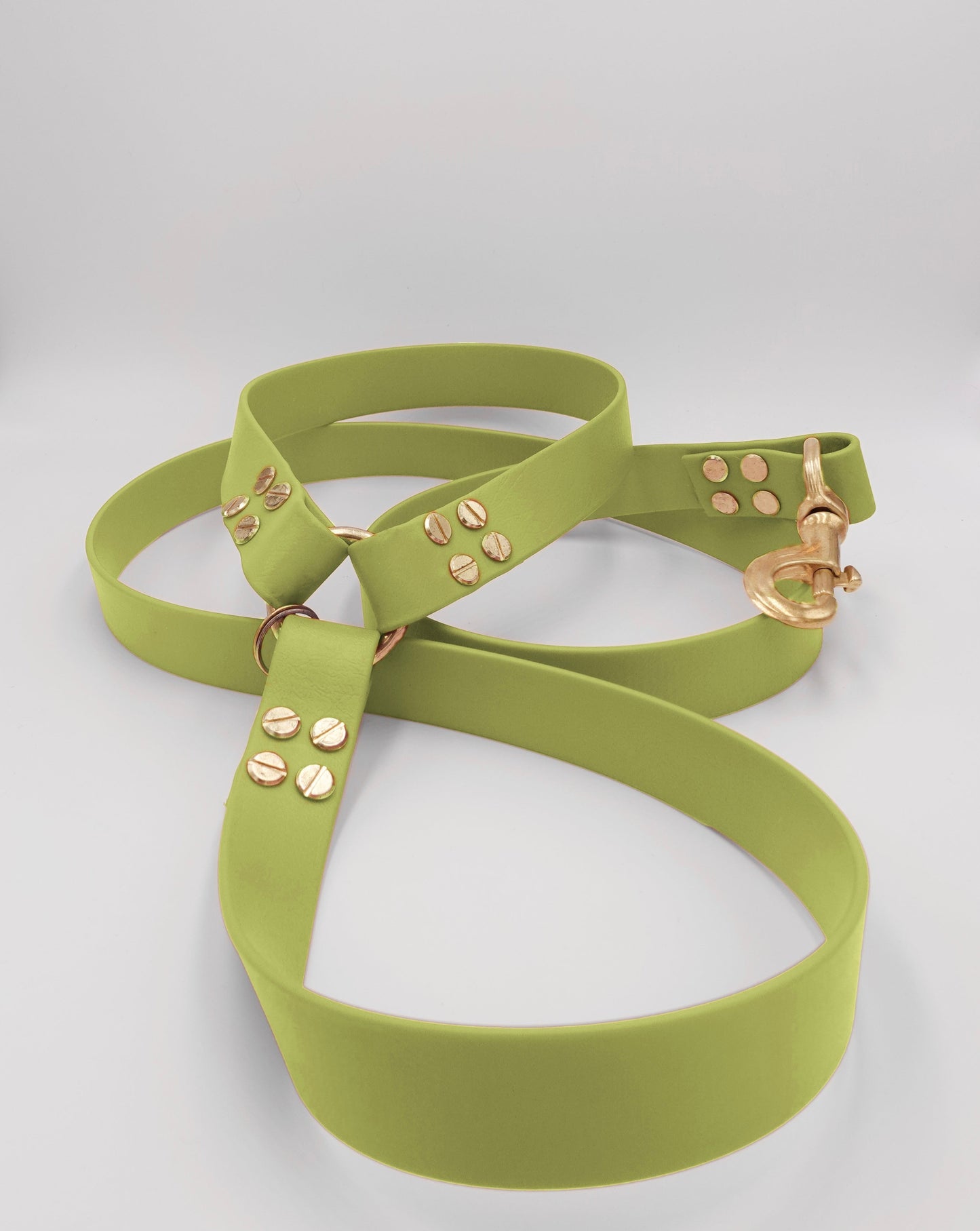 dog leash in biothane. Waterproof leash, vegan leather laisse pour chien handmade in France
