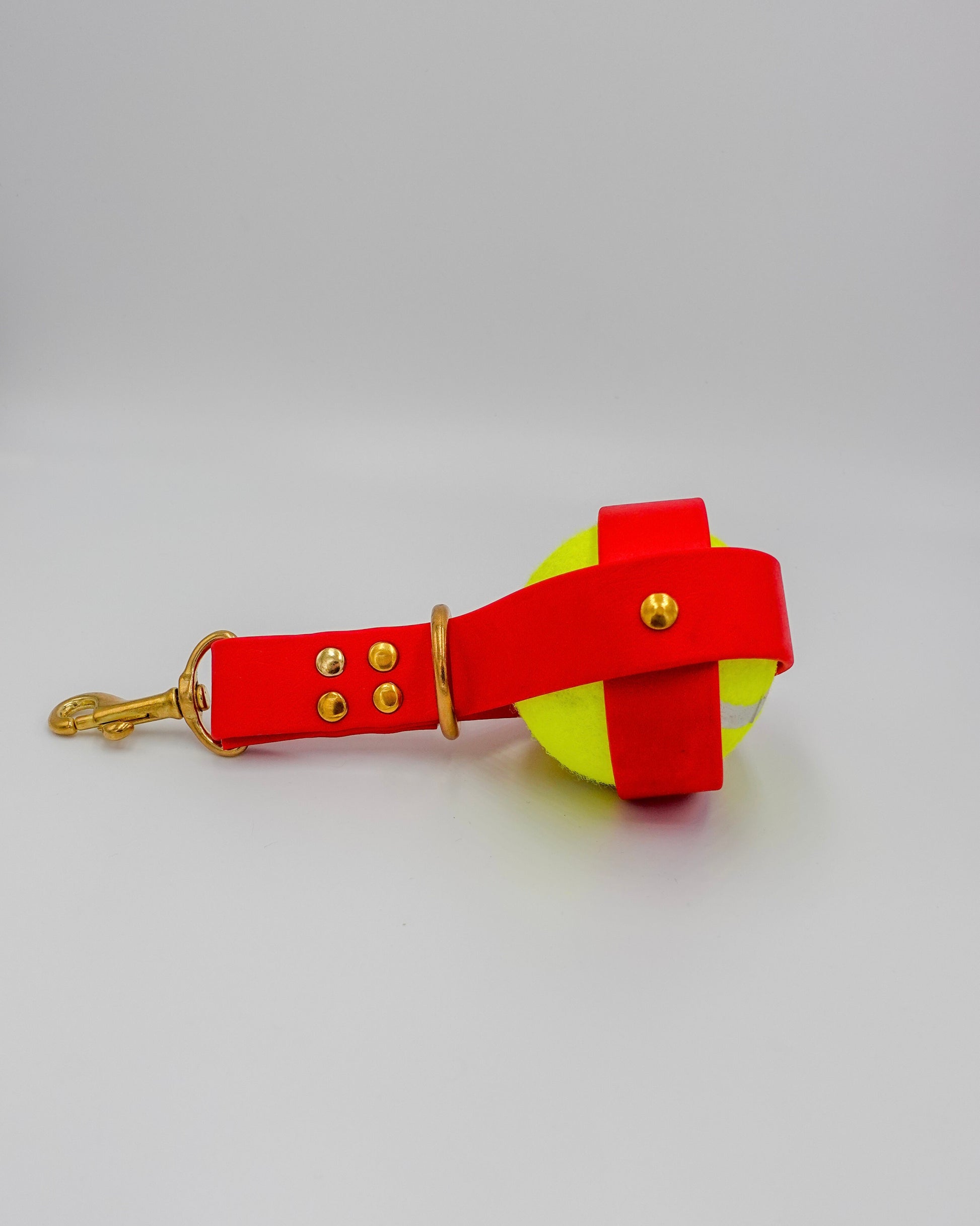 ball holder, for dogs, porte balle pour chien 