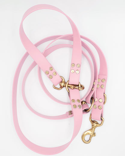 dog leash in biothane. Waterproof hands-free leash, vegan leather laisse pour chien handmade in France