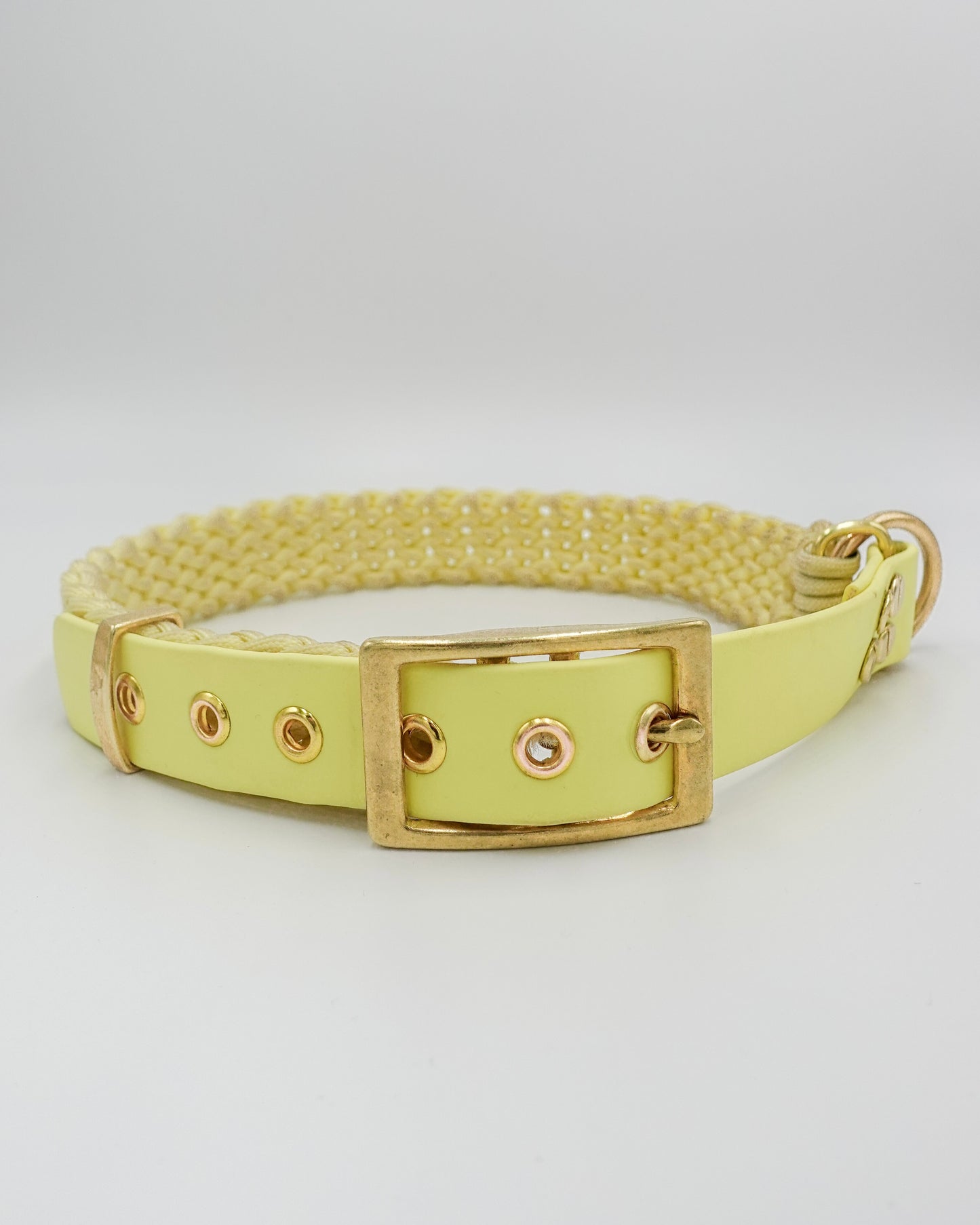 dog collar waterproof handmade in biothane and braided paracorde, colliers pour chien 