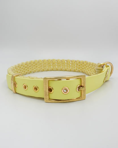 dog collar waterproof handmade in biothane and braided paracorde, colliers pour chien 
